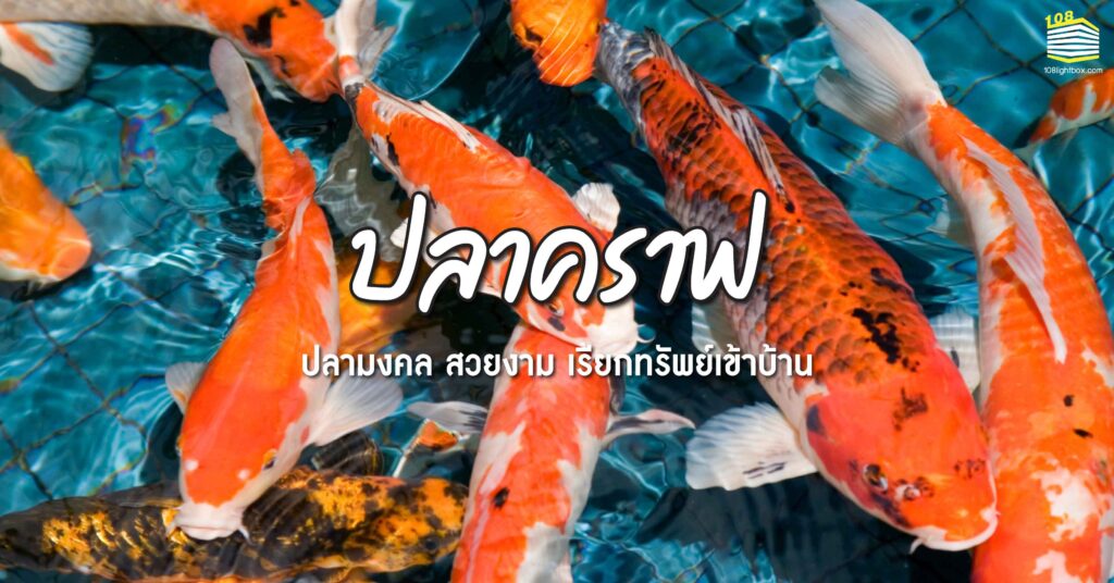 010323-Content-ความเชื่อ-ปลาคราฟ